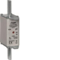 Hager Sicherungseinsatz NH1C    LNH1040M 