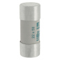 EATON Zylindersicherung 22 x 58   C22M20 