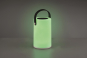 Trio Solar-/Batterieleuchte    R54066101 