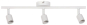 Paulmann Spotlight Carolina max    66765 