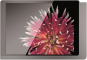 viveroo 510161 iPad Wandhalterung 12,9z 