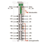 WAGO 750-450 4-Kanal-Analogeingang, 