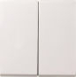 GIRA 029527 Wippe 2fach System 55 