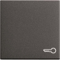 GIRA 028728 Wippe Symbol Tür System 55 