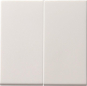 GIRA 091527 Wippe 2fach Tastschalter 