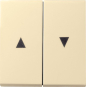GIRA 029401 Wippe 2fach Pfeil System 55 