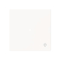 BJ Wippe 1-fach m.Symbol     6231-10-44M 