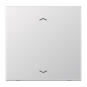 Jung Steuertaste Standard        AL1700P 