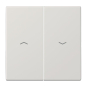JG Wippe f. Taster Ba 2-F.      LS995PLG 
