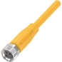 Balluff  BCC M313-0000-10-001-PX43T2-050 
