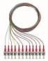 Rutenbeck          Pigtails 12xST OM4 2m 