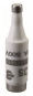 Mersen 00594.010700 NDZ 10A gG rot 