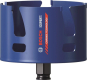Bosch EXPERT                  2608900481 