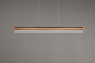 TRIO Pendelleuchte DEANCON 42W 326610232 