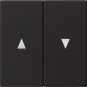 GIRA 0294005 Wippe 2fach Pfeil System 55 