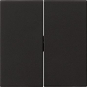 GIRA 0295005 Wippe 2fach System 55 