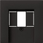 GIRA 0276005 Abdeckung TAE USB System 55 