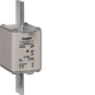 Hager Sicherungseinsatz NH2     LNH2400M 