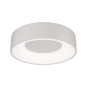 Paulmann WallCeiling HomeSpa Casca 78946 