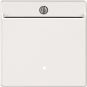 Merten Card-Schalter polarweiß    315419 