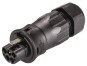 Wieland Steckerteil RST20I5S S1 ZR3 V SW 