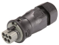 Wieland St. T. m. RST25I5S6S1 ZR3SV GR03 