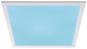 Paulmann WallCeiling Amaris ZB     79809 