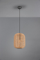 TRIO Pendelleuchte RUNA,1x E27 303090132 