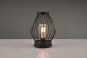 Trio Solar-TL MERIDA,          R54046132 