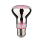 Paulmann LED Fil Plant R63 E27     28732 