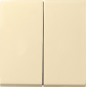 GIRA 029501 Wippe 2fach System 55 