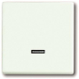 BJ Bedienelement Tastdimmer 6543-884-101 