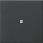 GIRA 5371005 Wippe 1fach unbedruckt KF 