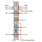 WAGO 753-540 4-Kanal-Digitalausgang,AC 