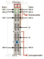 WAGO 753-540 4-Kanal-Digitalausgang,AC 
