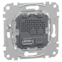 Merten USB                  MEG4366-0140 