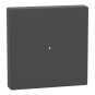 Merten Wippe f.Taster-Modul MEG5210-0414 