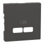 Merten Zentralplatte f.USB  MEG4367-0414 
