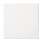 BJ BT-Bedienelement 1-fach   6735 BT-914 