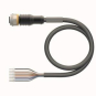 Turck Aktuator u.Sensor-    RKC8T-10/TXL 