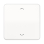Jung Steuertaste Standard      CD1700PWW 