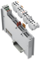 WAGO 753-478 2-Kanal-Analogeingang,DC 0 