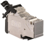 Rutenbeck              UM-real.Cat.6 U A 