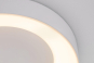 Paulmann WallCeiling HomeSpa Casca 78947 