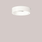 RZB D 270 H 68 Sichtfarbe: ws 982918.002 