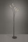 Trio LED-Stehleuchte REED, 5x  R41031532 