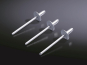 Rittal Aluminium-Niet 1=100   TS 8800531 