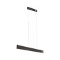 Paulmann LED Pendelleuchte         79985 