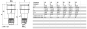BALS Stecker TLS mit MULTI-    21001-TLS 