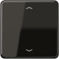 JG Wippe f. Taster BA        CD 590 P SW 